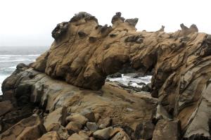 Arch rock in Salt Point