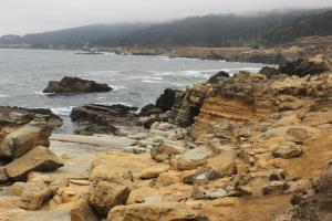 Rocks with coastline in Salt Point