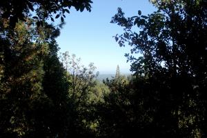 Outlook view on Aptos Creek Fire Road