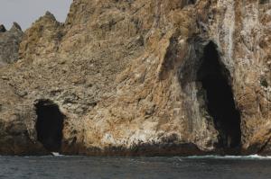 Caves in Farallon Islands