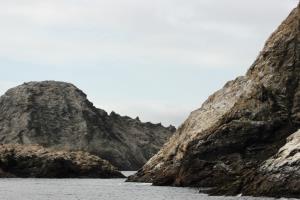 Rocks of Farallon Islands