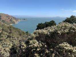View of bay from Angel Island