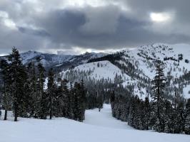 Trail view in Alpine Meadows