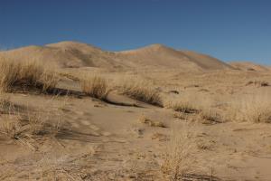 Hiking up Kelso Dunes