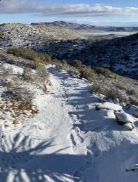 Trail after morning snow on Ryan Mountain