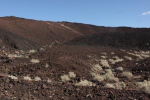 Near entrance of Amboy Crater