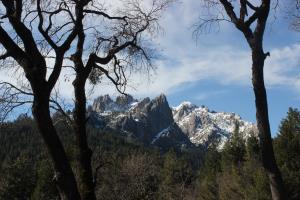Castle Crags seen through trees at Vista Point
