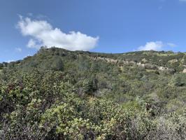 Rocks in distance on Black Diamond Mines hike