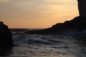 Rocks with bird near sunset at Shark Fin Cove