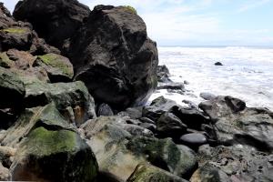 Rocks with algae from high tide on Lost Coast Trail