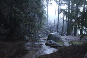 Upper part of Mist Trail