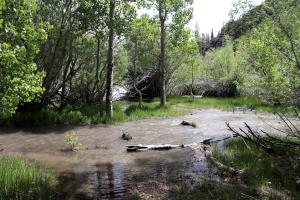 Convict Lake, half way through loop, with flooding