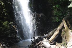 Berry Creek Falls at base