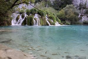 Waterfalls into clear water lake with fish