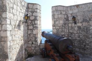 Cannon aiming out of fortress