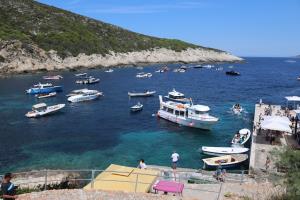 Boats parked, some from tours which connect to smaller boat