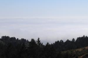 Cloud inversion over ocean on Dipsea Trail