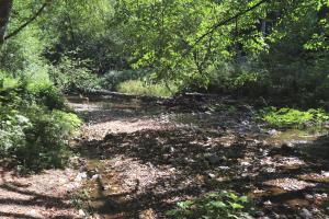 Water crossing bridge area with deer in background