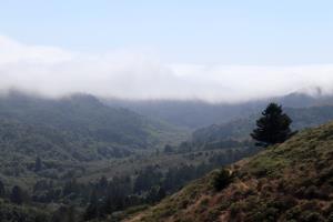 Closer to start of Dipsea Trail, near Mill Valley, after the steps