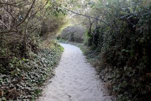 Final walkway in sand to Stinson Beach