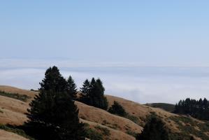 Fog over ocean seen descending to Stinson Beach on Dipsea Trail