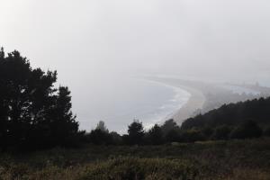 Stinson Beach seen through the fog on Dipsea Trail