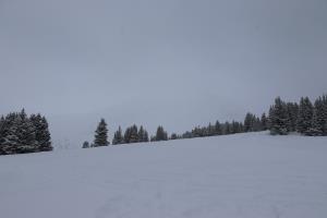 View while it snows at continental divide