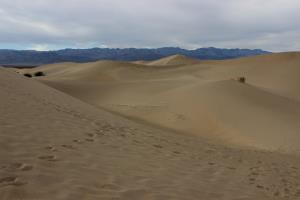 Mesquite Flat Sand Dunes