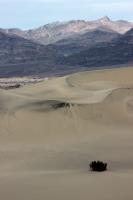 Mesquite Flat Sand Dunes