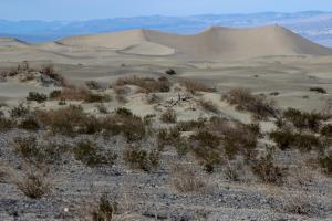 Mesquite Flat Sand Dunes