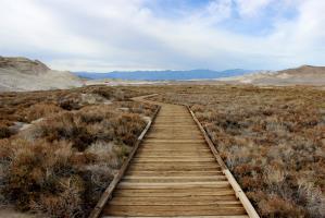 Salt Creek Trail