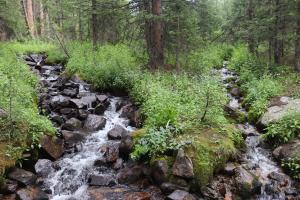 Flowing water to cross on way to Mt. Yale