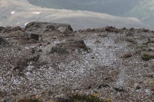 Soft hail-like snow below scramble to summit of Mt. Yale