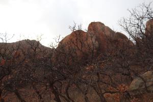 Rock formation in Roxborough State Park