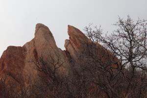 Rock formation with tree in Roxborough State Park