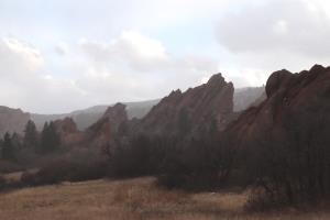 Slanted rock formation with tree in Roxborough State Park