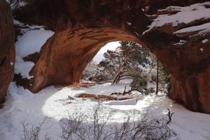 Navajo Arch in Devils Garden