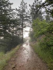 Looking back on Mesa Trail in rain