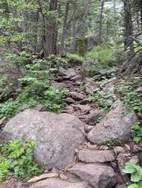 Trail to Bear Peak