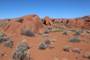 Rocks in Monument Valley