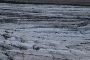 Close up of Grinnell Glacier