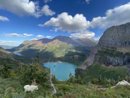 Goat seen from Grinnell Glacier Trail with lake