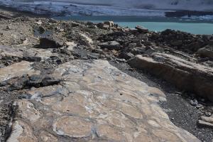 Rocks at Upper Grinnell Glacier Lake