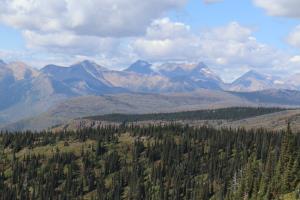 Highline Trail: Logan Pass to Granite Park Chalet