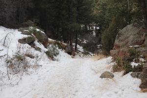 Snow on trail