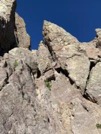 Rocks to climb around on Crestone Needle