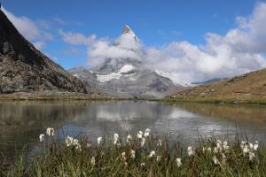 Matterhorn seen on hike down into town next to lake with flowers