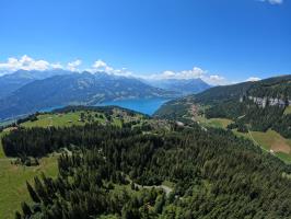 View paragliding in Interlaken