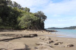 View facing Tungutu Point at Sullivan's Bay