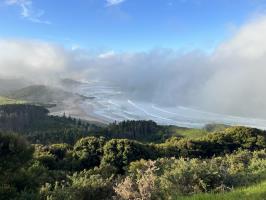 View of waves descending fog